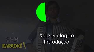 XOTE ECOLÓGICO  KARAOKÊ COMPLETO  VERSÃO ACÚSTICA [upl. by Dachy]