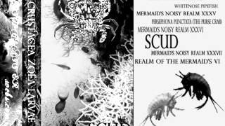 Crustacea Zoëa Larvae  SCUD Tape Full Album [upl. by Cassius]