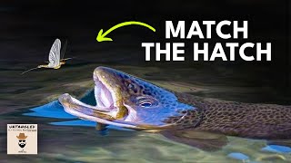 Catch More Trout During This EPIC Hatch  Ep 71 [upl. by Ahsenahs]