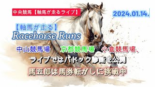 【軸馬が走る ライブ】令和６年１月14日 中山競馬場 京都競馬場 小倉競馬場 【このレースはこの馬】をもとにした馬券予想実況ライブ [upl. by Elianore509]