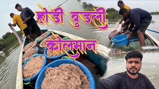 होडी बुडली कोलमान  transparent 🦐 prawn species fishing Mumbai India fishing [upl. by Asiat]