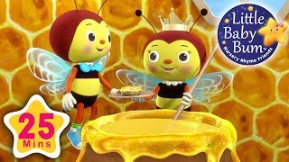 Little Bee Song  Plus Lots More Nursery Rhymes  25 Minutes Compilation from LittleBabyBum [upl. by Vahe201]