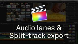 FCPX Audio Lanes and Exporting Split Tracks [upl. by Hirschfeld]