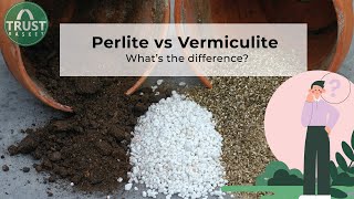 Perlite vs Vermiculite Why and When to use [upl. by Gabler]