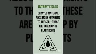 The Nutrient Cycle  60 Second Geography on Ecosystems [upl. by Atalanta]