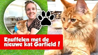 HOERA GARFIELD DE NIEUWE KATER IS ER EINDELIJK  De Nagelkerkjes 245 [upl. by Vick]