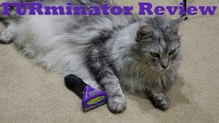 FURminator Review Video with Sean Coonery [upl. by Annahtur]