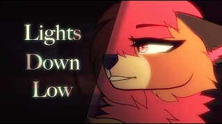 Lights down low meme [upl. by Iaka]