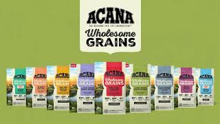 ACANA USA Wholesome Grains for Dogs [upl. by Aker]