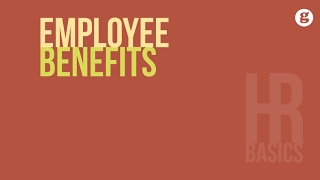 HR Basics Employee Benefits [upl. by Adnohsel202]