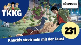 TKKG  Folge 231 Knackis streicheln mit der Faust  Hörprobe zum Hörspiel [upl. by Ellatnahc]