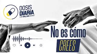 Dosis Diaria Roka  No es cómo crees [upl. by Urbani]