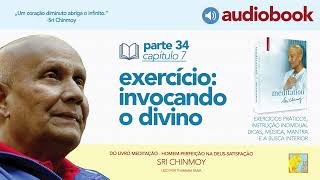 Capítulo 7  exercício invocando o Divino  audiobook do livro Meditação 34 [upl. by Ainaled619]