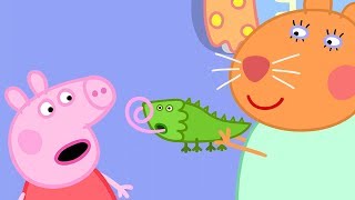 Peppa Pig en Español Episodios completos  LA TORTUGA DE LA DOCTORA HAMSTER  Pepa la cerdita [upl. by Yleak]