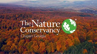 The Nature Conservancy  Chapter Georgia  Mother Nature [upl. by Atkinson]