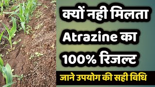 मक्का 🌽🌽 की फसल में खरपतवार नियंत्रण  Atrazine 50 wp use in maize 🌽 crop मक्का की खेती [upl. by Nanor]