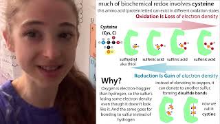 Cysteine sulfur disulfide bonds amp reducing agents oxidation reduction nucleophilicity etc [upl. by Bedelia]