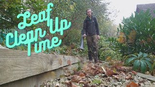 Leaf Clean Up London Plane Trees [upl. by Eshman]