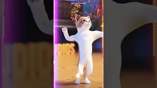 patali kamariya bole songbilli dance funny video short [upl. by Stoeber]