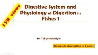 1 Digestive System and Physiology of Digestion in Fishes Part 1 [upl. by Anelrahc]