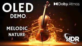 Best OLED DEMO HDR Melodic Nature Playing Cello in Dolby Vision [upl. by Araj]