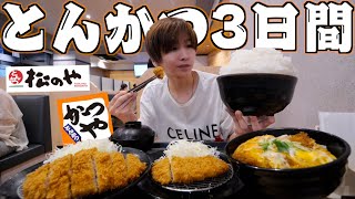 【3日間】とんかつだけ食べ続けたら何キロ太るの？揚げ物を大量摂取！！かつや、松のや、矢場とん、やよい軒、KYK、とんかつ和幸 [upl. by Ennayllek754]