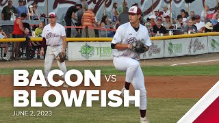 HIGHLIGHTS Macon Bacon vs Lexington County Blowfish  June 2 2023 [upl. by Silin]