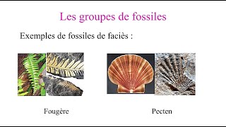 Les fossiles et la fossilisation  المستحاثات و الاستحاثة [upl. by Naiditch971]