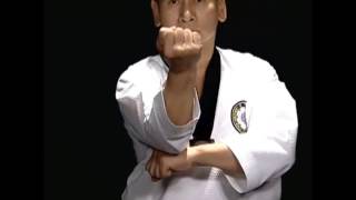 Basic Motions  CHIGI  Taekwondo Technics in English HD [upl. by Airec]