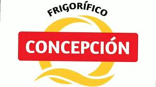 Publicidad  Frigorífico CONCEPCIÓN PARAGUAY [upl. by Redmond]