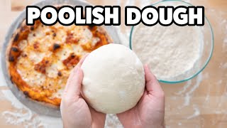 Better Pizza using Poolish Dough Recipe [upl. by Filberte]