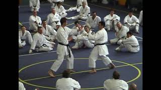 2004 gkr inst camp sat noon 23 shihan stacey partnerwork backfist coordinate guard takedown with fro [upl. by Hauge540]