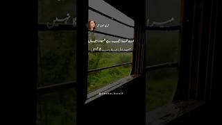 Ambreen Haseeb Amber Poetry Urdu urdupoetry shortvideo urdushayari deeplines [upl. by Nido303]