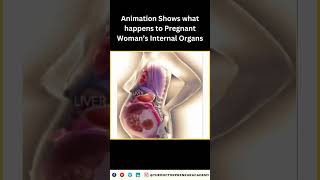 How a Womans Body Adapts During Pregnancy Incredible Organ Shifts Explained [upl. by Wittie]