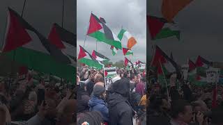 Ana dammi falastini song  Hyde park  London  27th April 2024  shorts palestine gaza muslim [upl. by Nuhs]