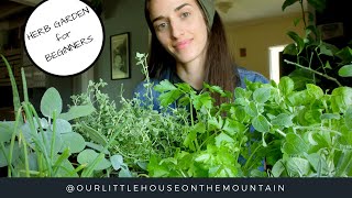 HERB GARDENS BEGINNERS GUIDE  HOW TO  GARDEN BASICS [upl. by Duston166]