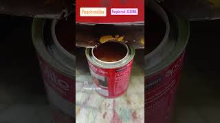 Apcolite Satin Enamel oil paint ytshorts shorts youtubeshorts art india reels tiktok new [upl. by Ahsiekat]