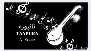 A Scale Tanpura  For Riyaaz  Beginners  Hazaraagibynayab  riyaaz tanpura foryou [upl. by Ardenia]