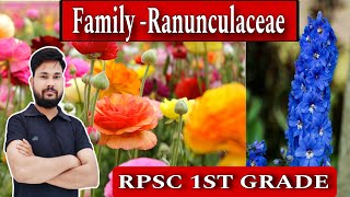 FAMILY  RANUNCULACEAE ll BUTTER CUP ll DELPHINIUM ll RPSC 1ST GRADE BIOLOGY by skdigrawal [upl. by Docilu256]