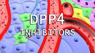 DPP4 Inhibitors [upl. by Caron439]