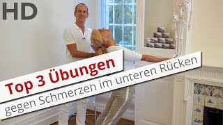 Top 3 Übungen gegen Schmerzen im unteren Rücken  Rückenschmerzen Lendenwirbelsäule [upl. by Odo990]