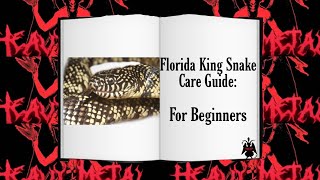 Florida King Snakes Care Guide For Beginners [upl. by Yerroc990]