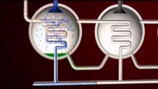 MED Desalination Process [upl. by Seavey]