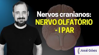 Sistema Nervoso Lobos Cerebrais com Neurostudent  Anatomia e etc [upl. by Sverre]