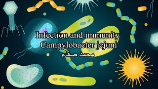 Campylobacter jejuni [upl. by Helbonnas942]