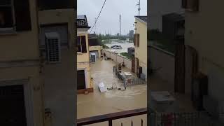 ⚠️ Rottura dellargine del Lamone a Traversara di Bagnacavallo Ravenna⚠️alluvione emiliaromagna [upl. by Blondy5]