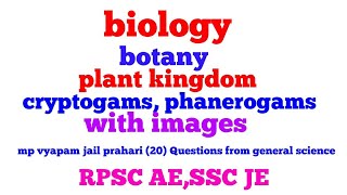 Biology  botany   topic  cryptogams phanerogams for mp vyapam jail prahariSSC jeRpsc ae [upl. by Nimoynib]