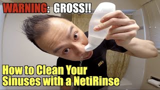 How to use a NetiRinse to clean out your nose GROSS [upl. by Marmion807]