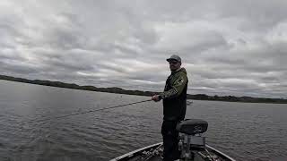 Live Lake Guntersville Bass fishing Nov 15 2024 [upl. by Salomo]