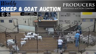 10242023  Producers Livestock Auction Company Sheep amp Goat Auction [upl. by Stoecker583]